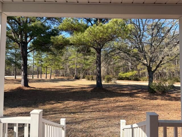 1248 Driggers Lane, Manning, SC 29102