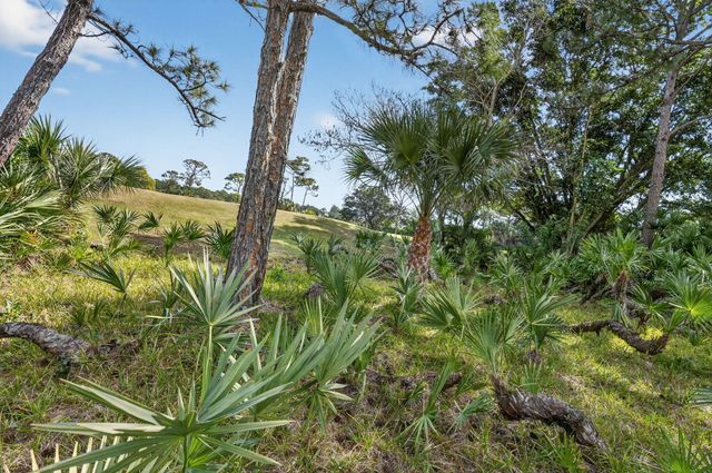 8293 SE Palm Hammock Lane, Hobe Sound, FL 33455