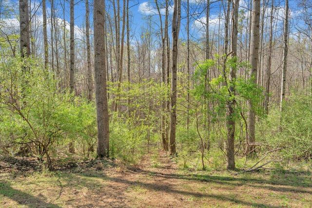 105 CHEROKEE LN, Thaxton, VA 24174