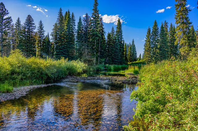 NHN Route 83, Seeley Lake, MT 59868