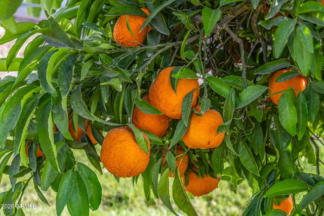 17428 W ROSE Lane, Waddell, AZ 85355