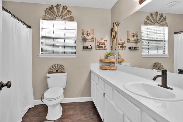12310 Lakeview Manor Drive, Willis, TX 77318
