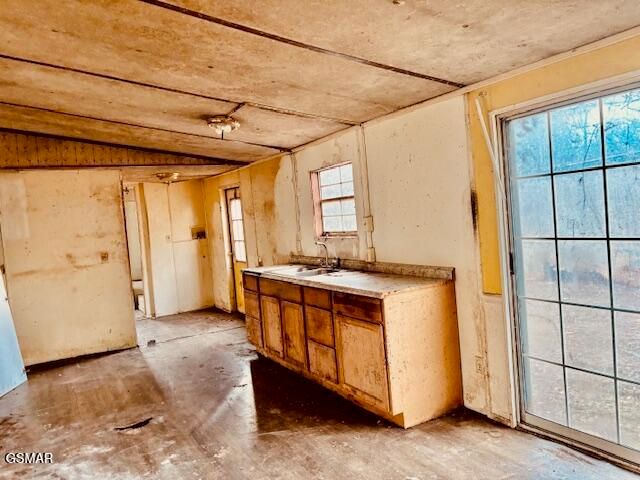 292 Welch Road, Newport, TN 37821