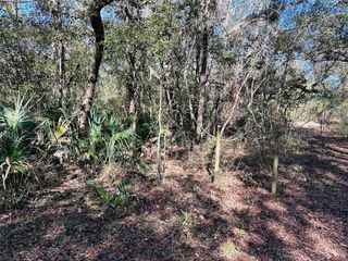 0 SE 229 LANE, Old Town, FL 32680