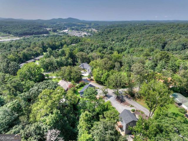 239 Lucille Avenue, Ellijay, GA 30540