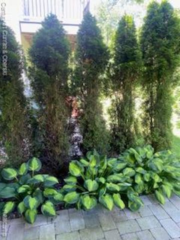 42908 Cardinal Way, Novi, MI 48375