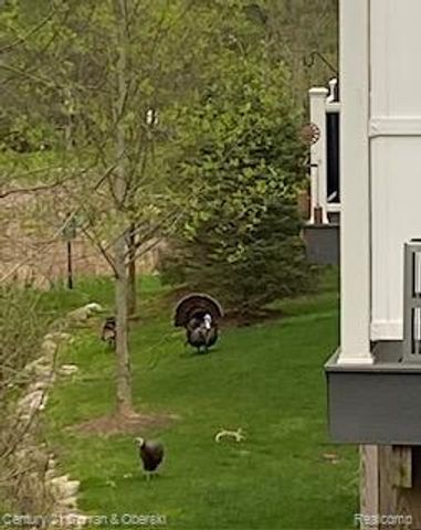 42908 Cardinal Way, Novi, MI 48375