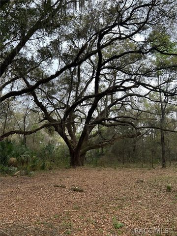 5797 N McKree Terrace, Crystal River, FL 34428