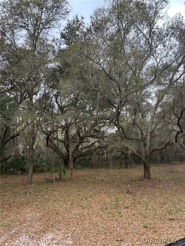 5797 N McKree Terrace, Crystal River, FL 34428