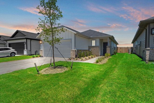 18006 Lasso Mills Drive, Hockley, TX 77447