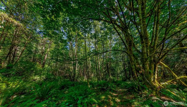 8679 NE Fox Den Lane, Bainbridge Island, WA 98110