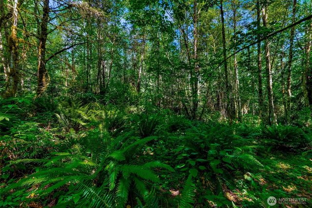 8679 NE Fox Den Lane, Bainbridge Island, WA 98110