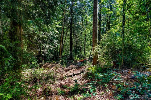 8679 NE Fox Den Lane, Bainbridge Island, WA 98110