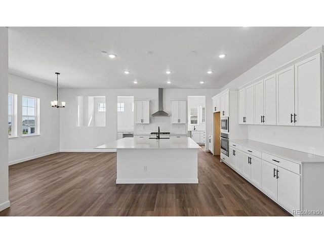 1667 Green Fern Pt, Castle Rock, CO 80104