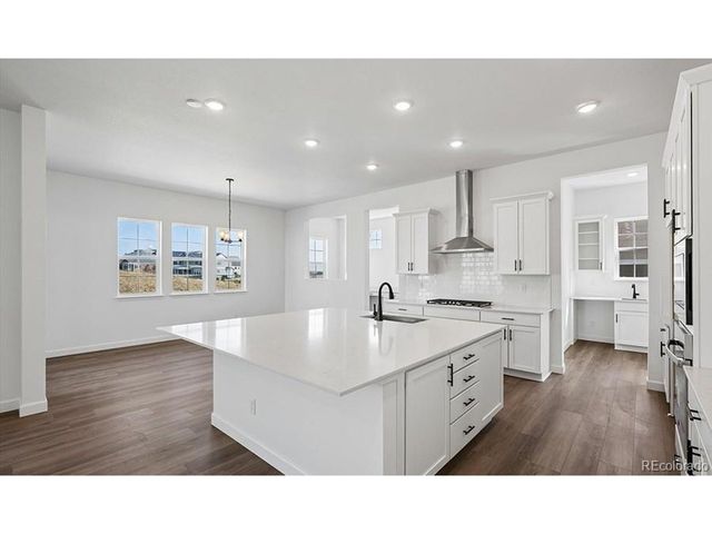 1667 Green Fern Pt, Castle Rock, CO 80104