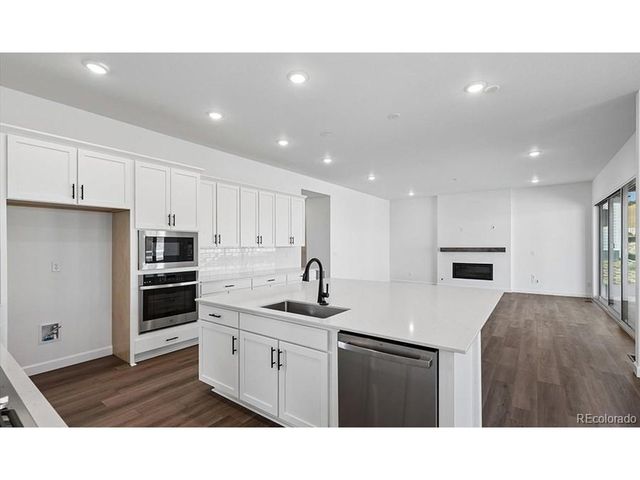 1667 Green Fern Pt, Castle Rock, CO 80104