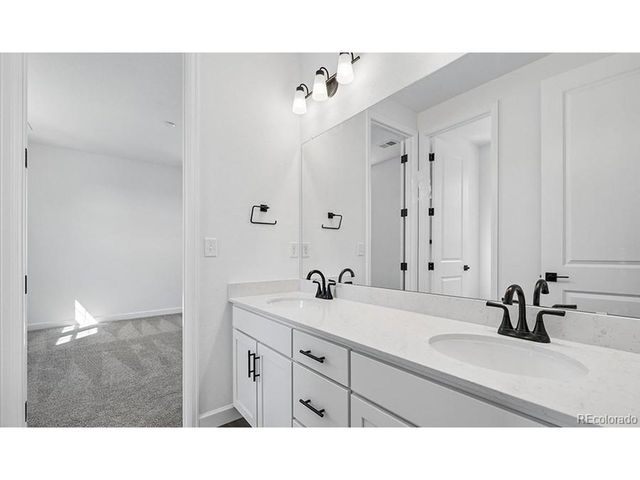 1667 Green Fern Pt, Castle Rock, CO 80104