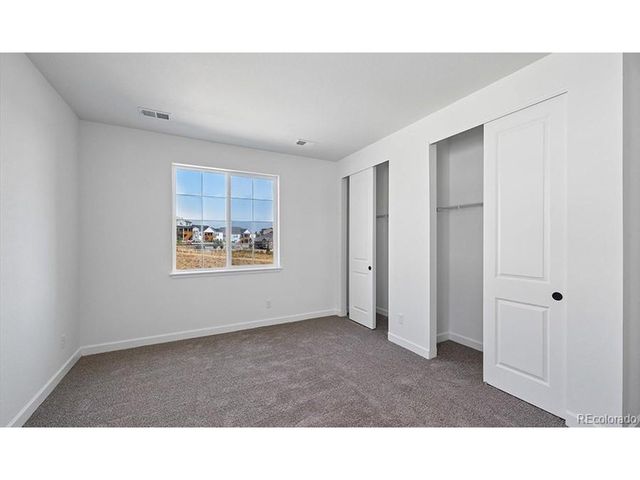1667 Green Fern Pt, Castle Rock, CO 80104