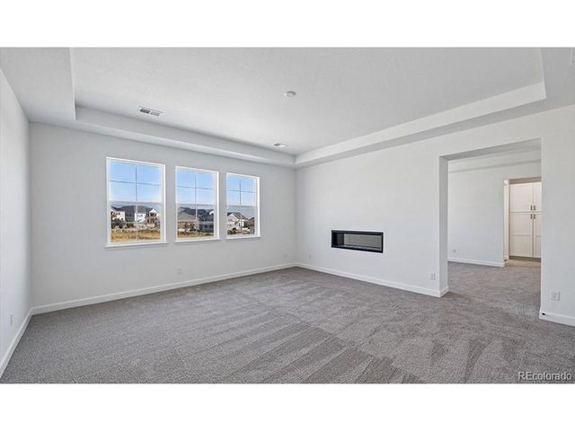 1667 Green Fern Pt, Castle Rock, CO 80104
