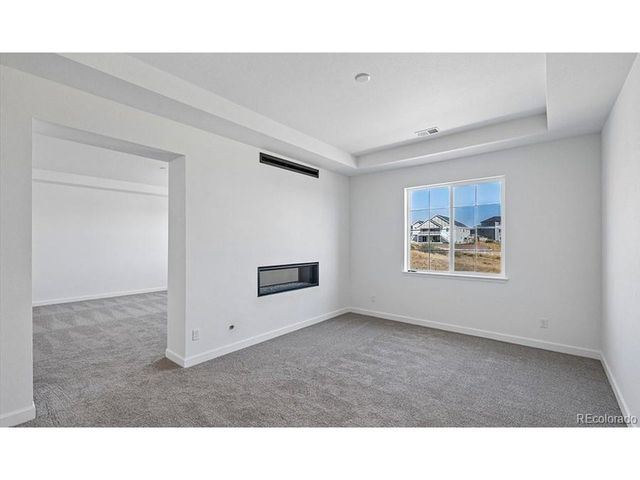 1667 Green Fern Pt, Castle Rock, CO 80104