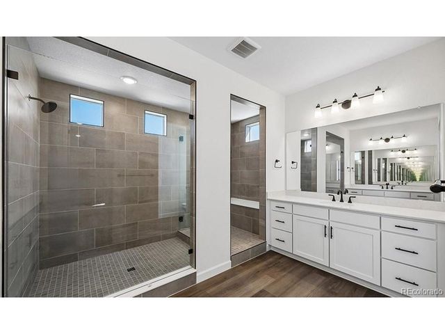 1667 Green Fern Pt, Castle Rock, CO 80104
