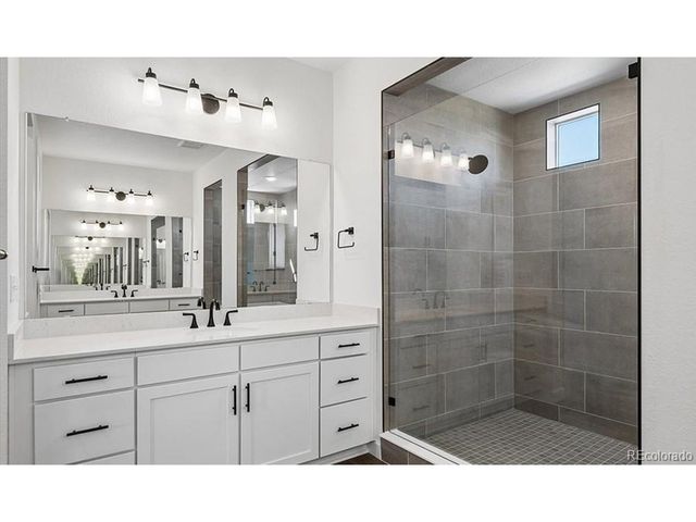 1667 Green Fern Pt, Castle Rock, CO 80104