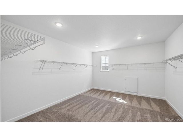 1667 Green Fern Pt, Castle Rock, CO 80104