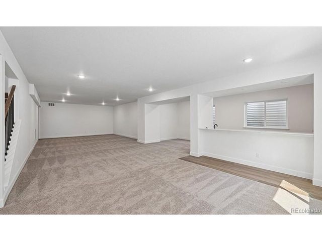1667 Green Fern Pt, Castle Rock, CO 80104