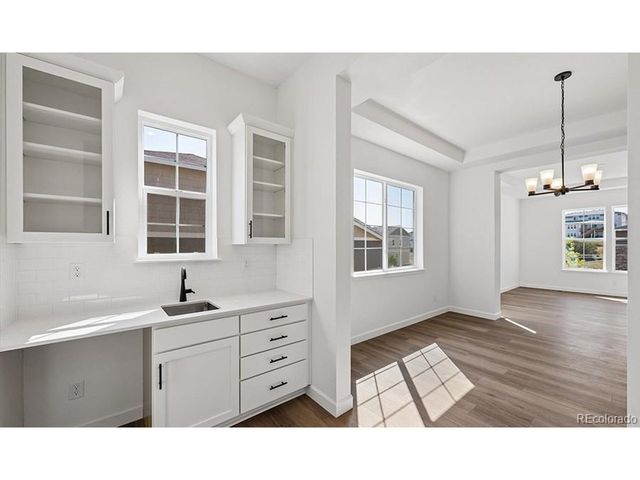1667 Green Fern Pt, Castle Rock, CO 80104