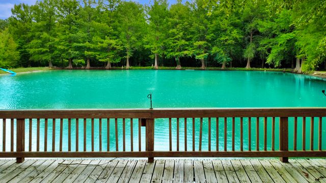 135 Durr Stables Lane, Saint George, SC 29477