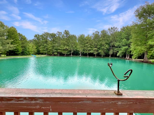 135 Durr Stables Lane, Saint George, SC 29477