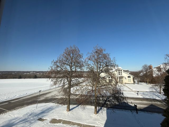 1004 Saddle Lane, Lemont, IL 60439