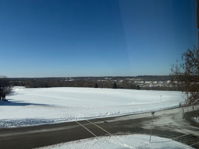 1004 Saddle Lane, Lemont, IL 60439