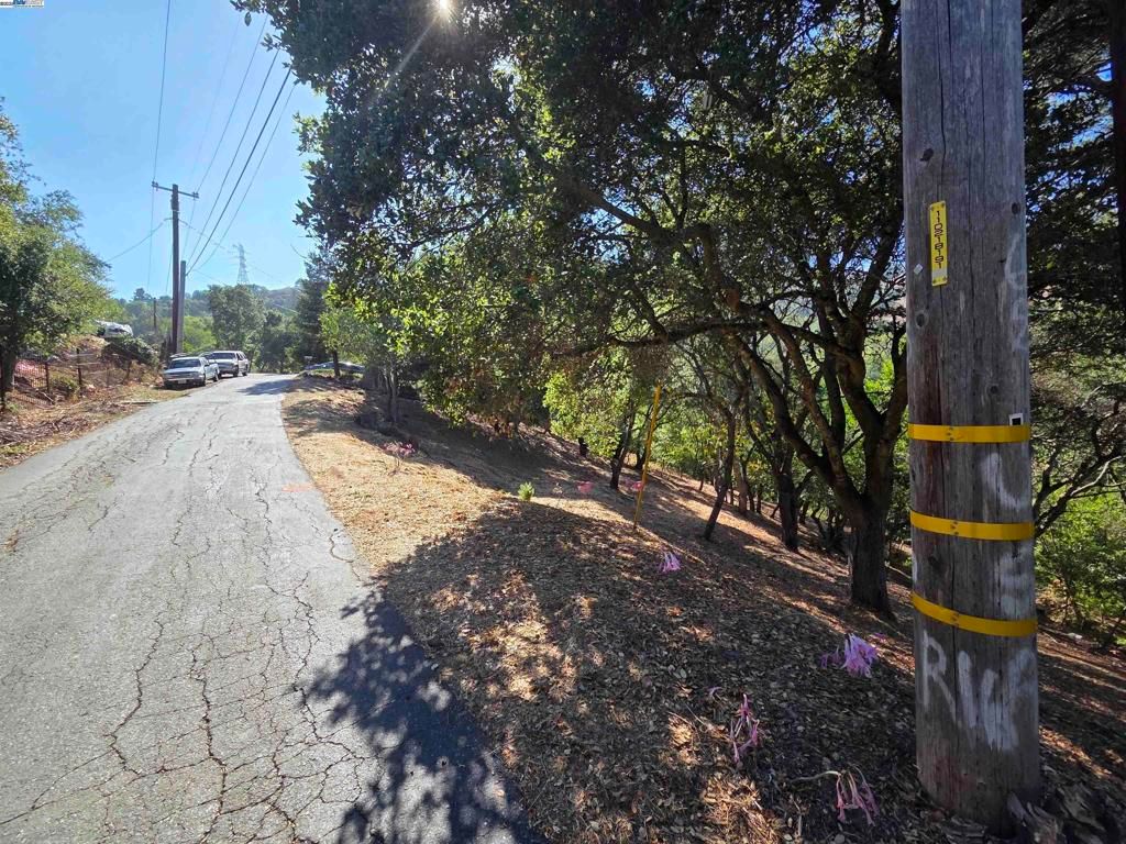 12 Vista Del Orinda, Orinda, CA 94563