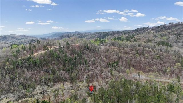 496 Meadow Lane, Talking Rock, GA 30175