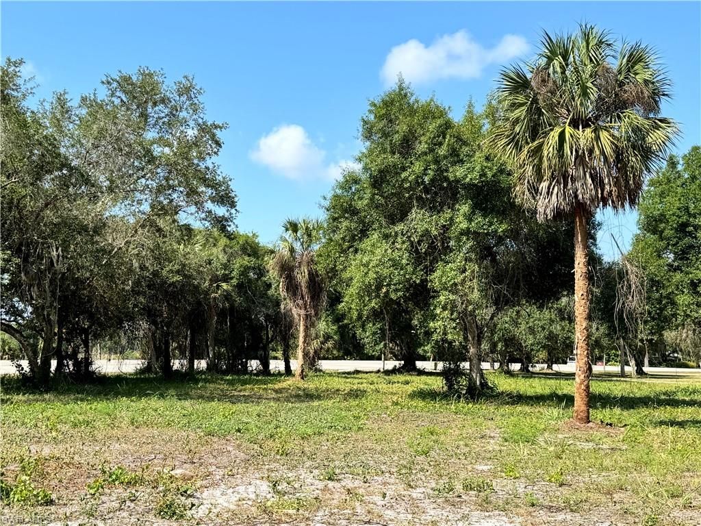 0 Magnolia AVE, LABELLE, FL 33935 — photo 5