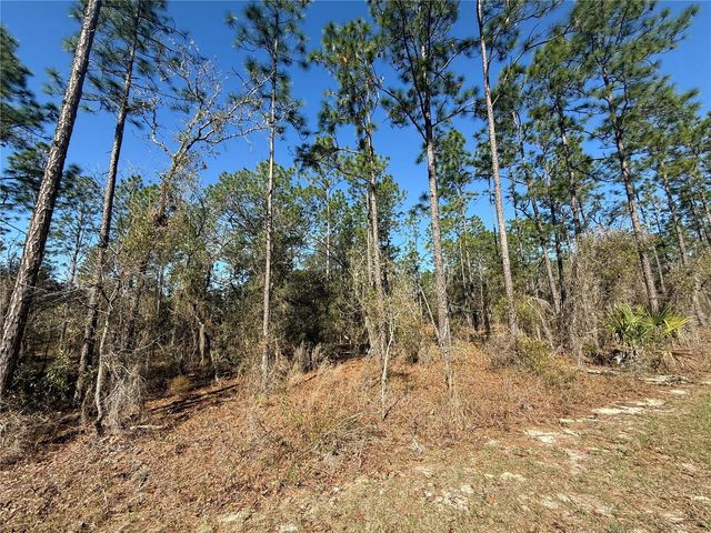 Lot 13 SE 129 COURT, Dunnellon, FL 34431