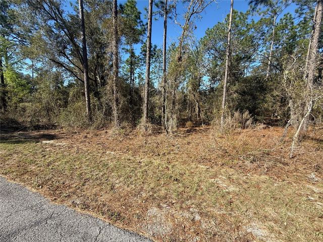Lot 13 SE 129 COURT, Dunnellon, FL 34431