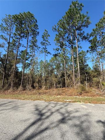 Lot 13 SE 129 COURT, Dunnellon, FL 34431