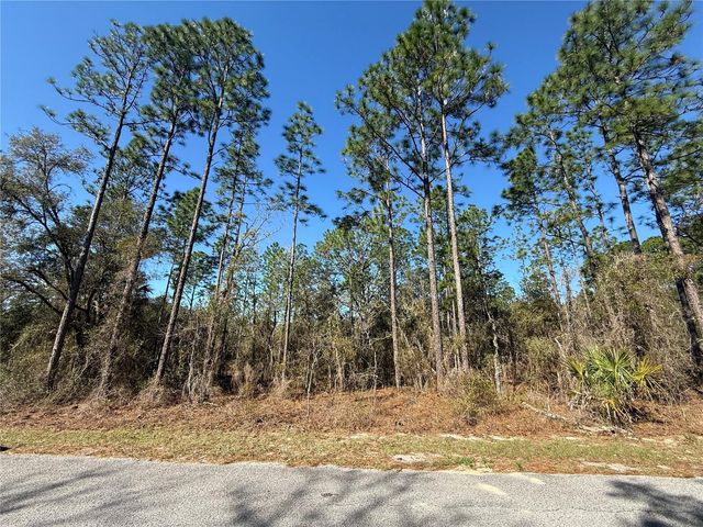 Lot 13 SE 129 COURT, Dunnellon, FL 34431