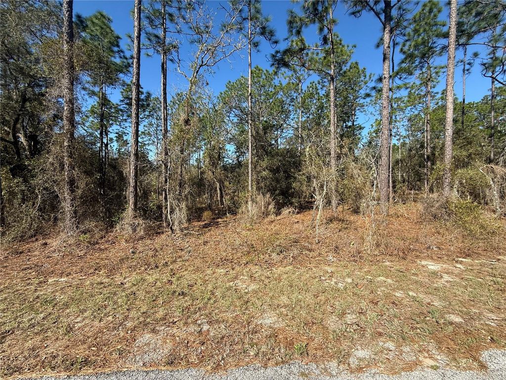 Lot 13 SE 129 COURT, Dunnellon, FL 34431