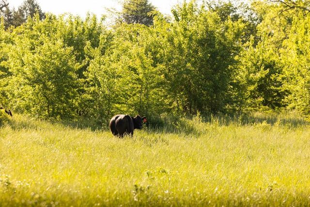 N 790 Road, Baldwin City, KS 66006