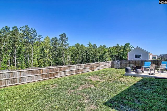 1420 Saugus Court, Chapin, SC 29036