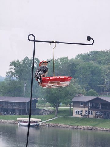8104 Lakeshore Drive, Dexter, IA 50070
