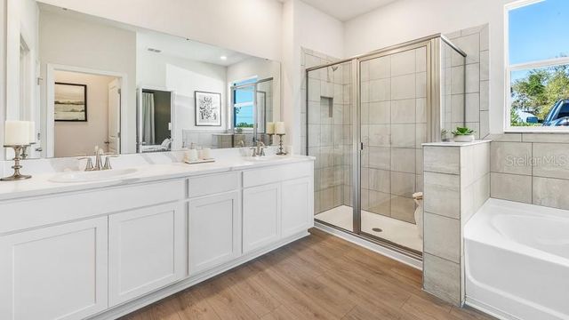 10425 WOODLAND GARDEN WAY, Parrish, FL 34219