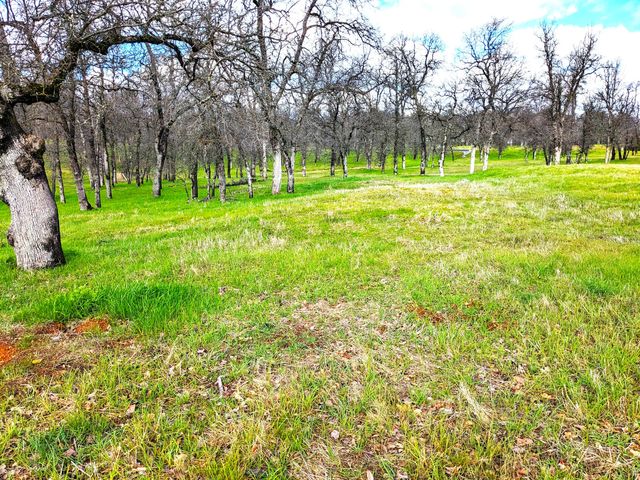 19417 Belleterre Drive, Redding, CA 96003