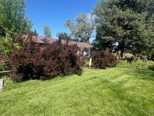 2916 N Shields St, Fort Collins, CO 80524