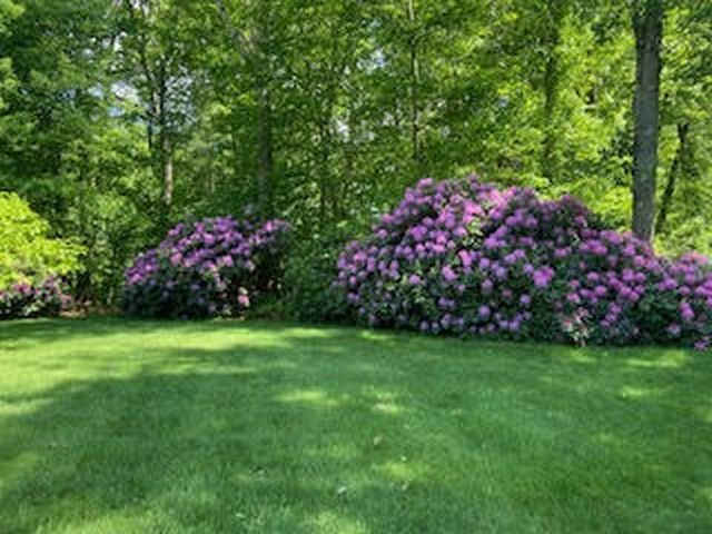 14 Shasta Drive, Londonderry, NH 03053