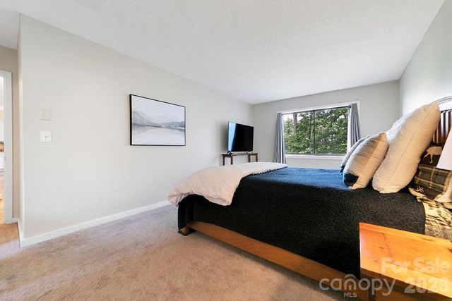 216 Tinequa Drive, Brevard, NC 28712