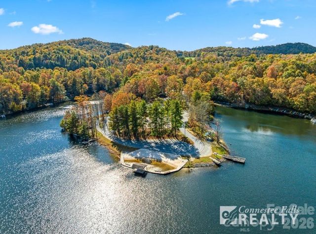 216 Tinequa Drive, Brevard, NC 28712
